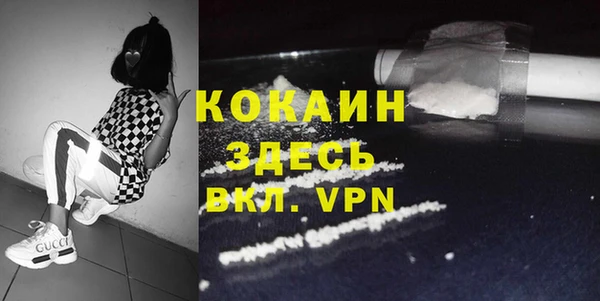 крисы Абаза