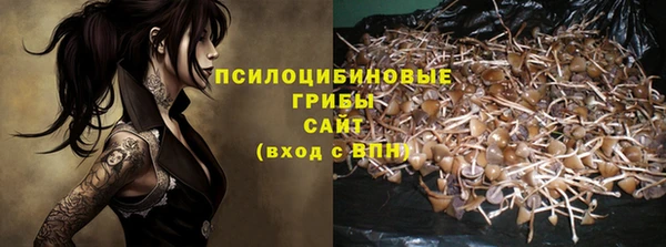 молекула духа Алексеевка
